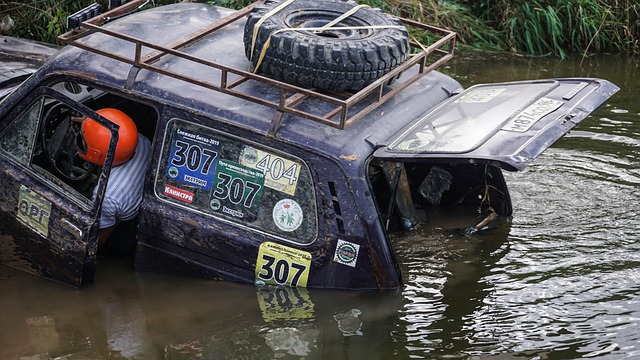 例如引入其 例如引入其