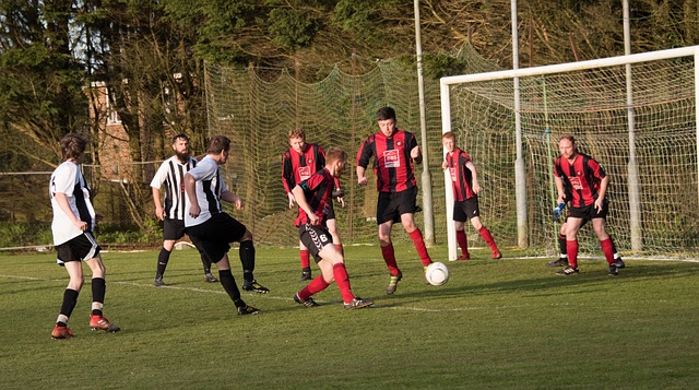 而巴西队则 而巴西队则